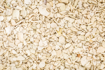 sand grain macro texture from Florida beach beach