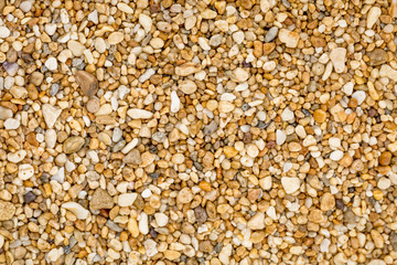 sand grain macro texture from Florida beach beach