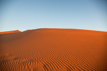 Fototapeta na wymiar Simpson desert sand dunes Windorah