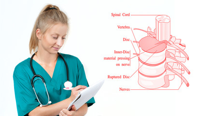 Medicine. Doctor and  anatomical spine.