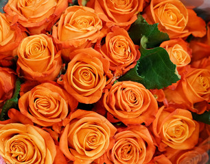 Flower background of bouquet roses in orange 