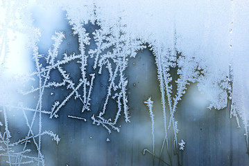 ice flower on window in winter