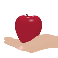 1638304 A red apple in a hand