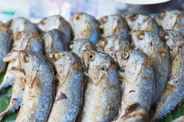 Fried shortbodied mackerel fish