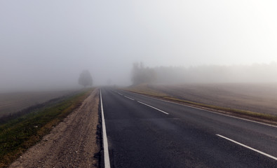 Road and fog