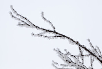 Winter time of the year