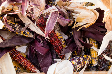 Rustic Autumn Corn on a Hay Bale 
