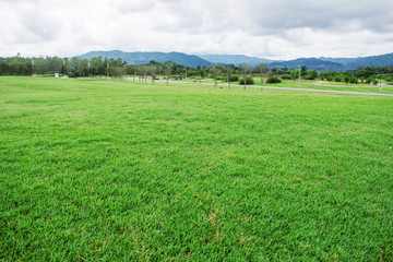 Fototapeta premium Lawn with mountain background.