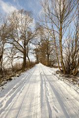 Obraz premium The road in winter