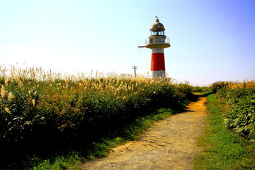 Summer coastal scenery in Hokkaido
