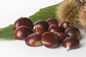 Chestnuts isolated
