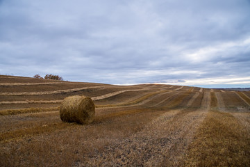 Hay Bale in the Autumn Harvest 