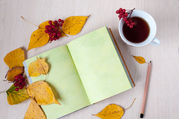 Naklejka na ściany i meble Autumn still life with an open book and tea with a viburnum