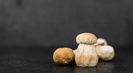 Slate slab with some fresh Porcinis (selective focus)