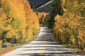Fototapeta na wymiar Autumn: Golden trees along the US route 82 in Rock Mountain