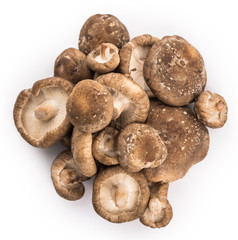 Portion of Shiitake mushrooms isolated on white