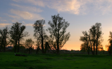 Naklejka premium spring landscape