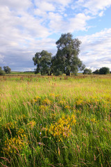 Fototapeta premium before the storm