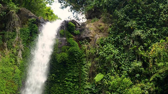 beautiful waterfall in the rain forest