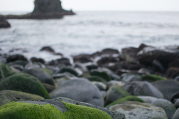 mossy rocks at the ocean