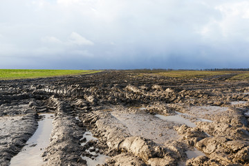 road in a field