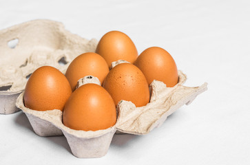 Fresh chicken eggs against white background