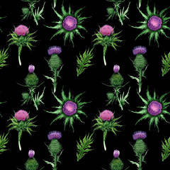 Wildflower budyak flower pattern in a watercolor style. Full name of the plant: budyak. Aquarelle wild flower for background, texture, wrapper pattern, frame or border.