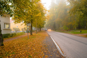 Obraz premium Autumn