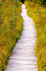 Obraz premium wooden footpath