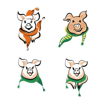 Sketch vector illustration. Set of head, face pig in scarf. Symbol of 2019 chinese moon happy new year