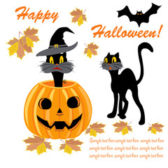  Card, banner with pumpkin, black cat, witch hat, vampire bat, autumn maple leaves, a welcome text.