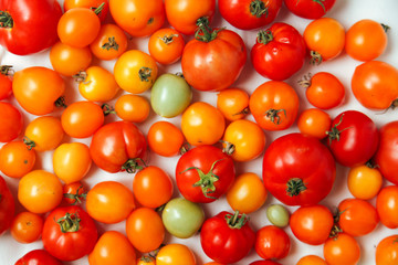 Fresh organic tomatoes of different colors on white textile background. Harvest concept. Overhead view, natural lighting, copy space.