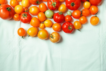Fresh organic tomatoes of different colors on white textile background. Harvest concept. Horizontal composition. Overhead view, natural lighting, copy space.