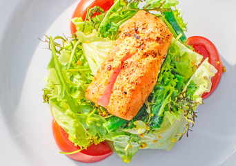 A warm Fresh green salad with red fish and mustard grains on white plate