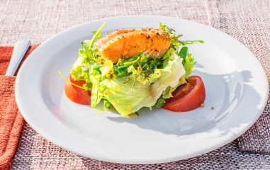 A warm Fresh green salad with red fish. tomatoes and mustard grains on white plate