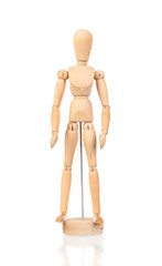Wooden Model of the person