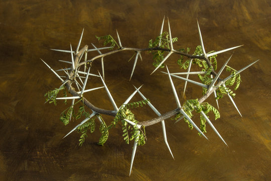 Natural thorn branch crown on brown grunge background - conceptual image of Jesus Christ crucifixion