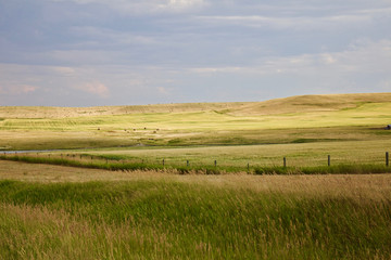 Fields and grasslands landscape / Agricultural rural countryside