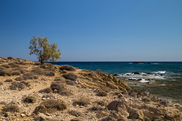 Coast of a greek island