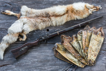 old hunting rifle, fox skin