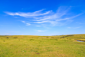 South Downs Landscape