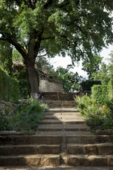 Staircase in the garden