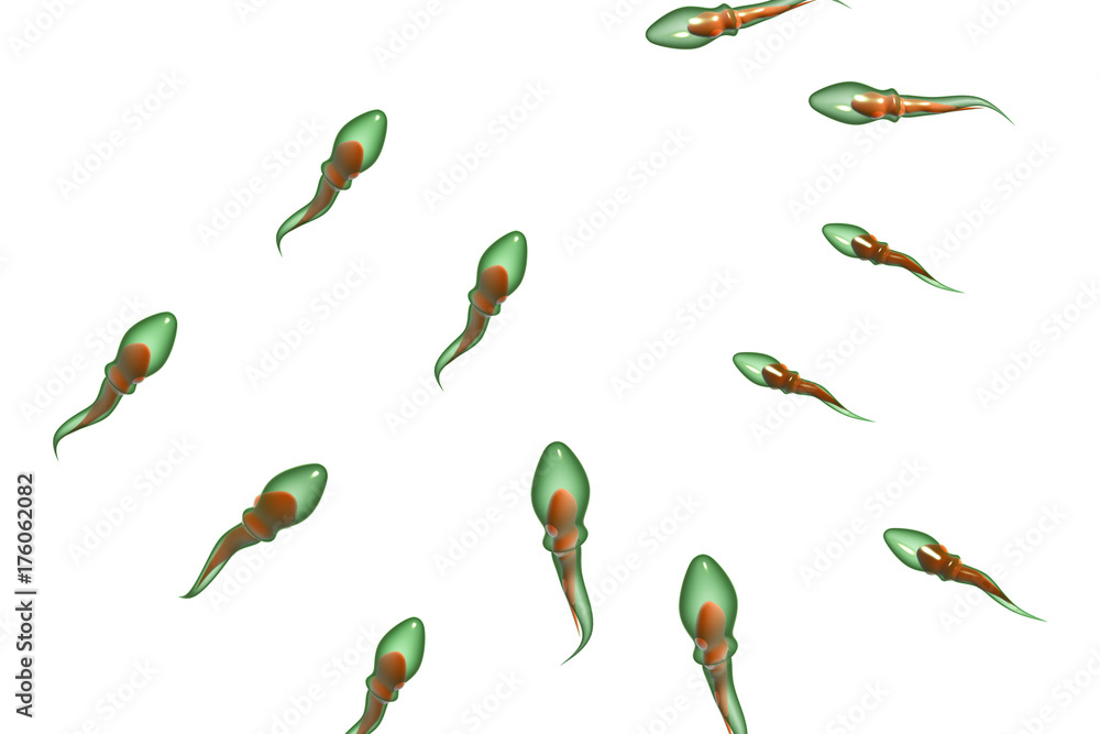 Wall mural 3d illustration showing sperms and egg