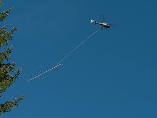 A helicopter carrying a tree trunk blue sky