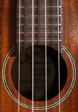 Closeup of a ukulele guitar with strings