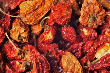 getrocknete Habanero Chili