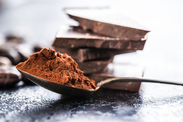 Dark cocoa powder and chocolate.