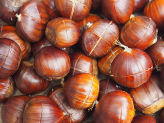 Maronen, Esskastanien, geschlitzt