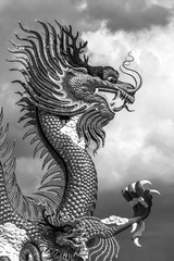 dragon black and white