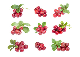 nine cowberries - cranberries set with leaves on the white background isolated